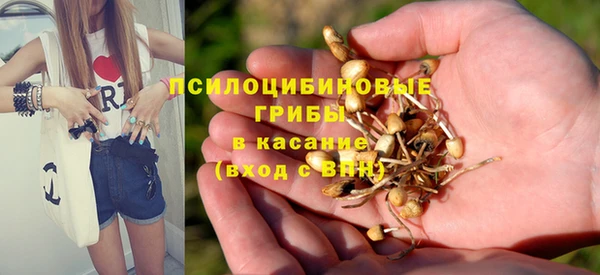 не бодяженный Алексин