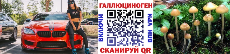 Галлюциногенные грибы MAGIC MUSHROOMS  мега ТОР  Спасск 